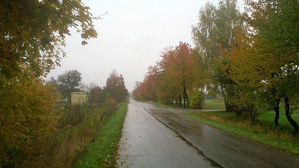 Jesienny klimat w Jabłonnej