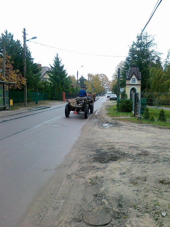 Rzadki obrazek w dzisiejszych czasach