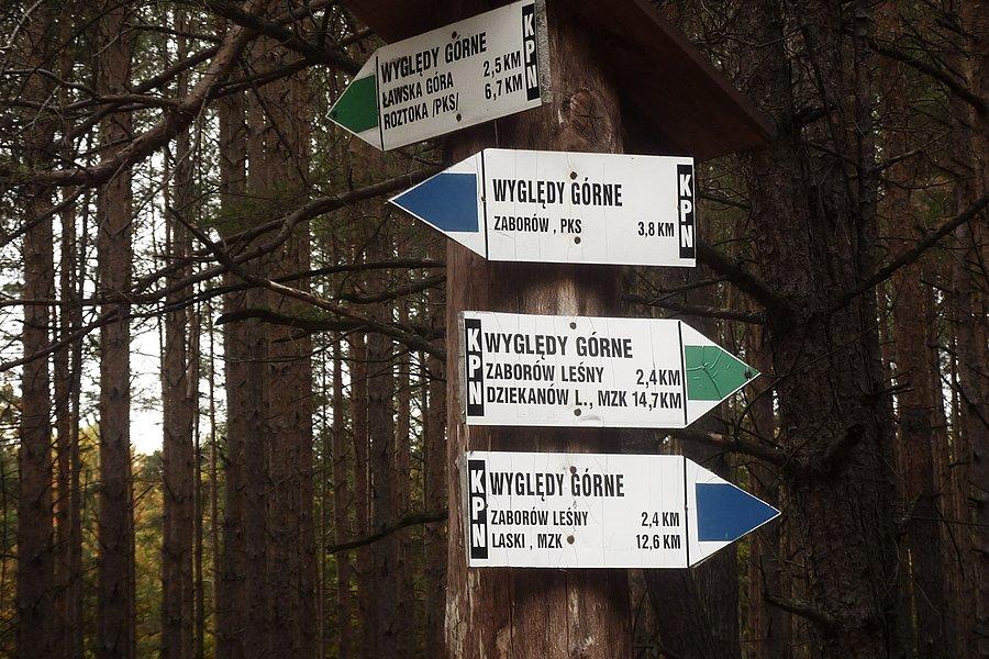 Wyględy Górne, skrzyżowanie szlaków