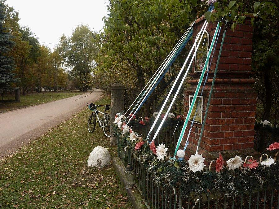Buda - wieś w głębi lasu. Puszcza Kampinoska