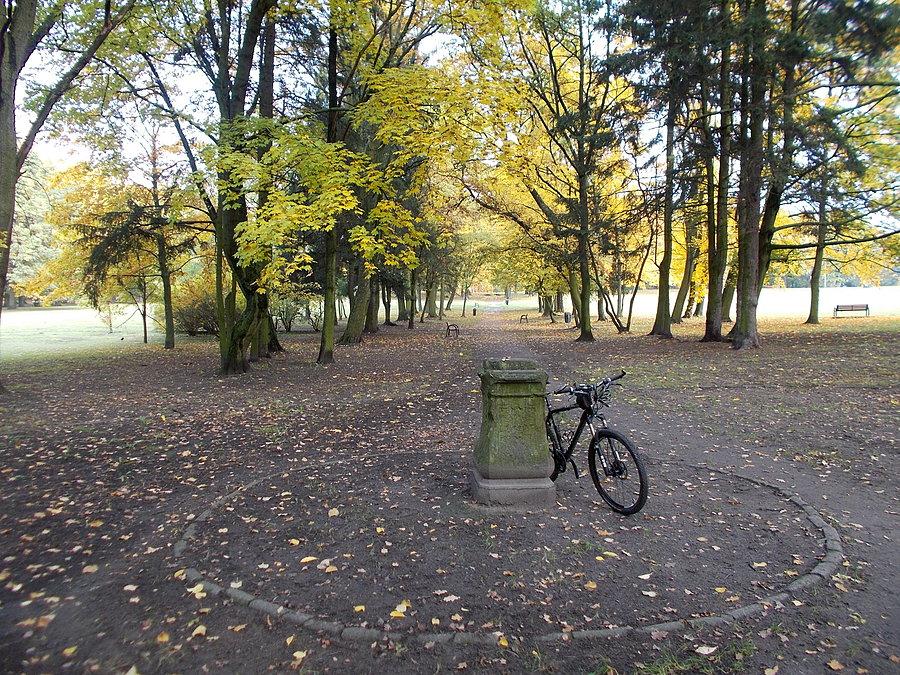 Park Modrzewie
