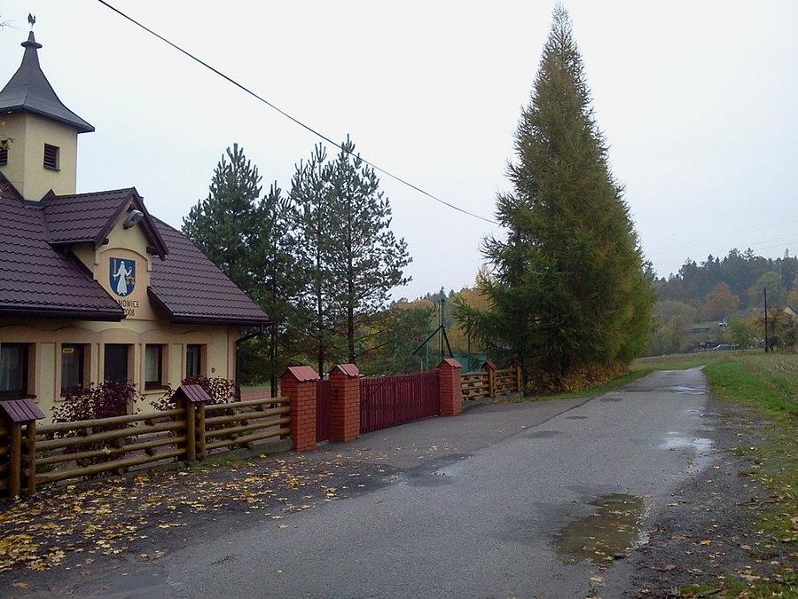 Wilamowice