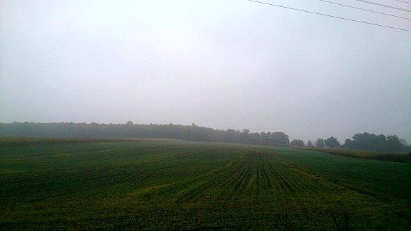 Deszcz, mgły, wiatr czyli polska jesień