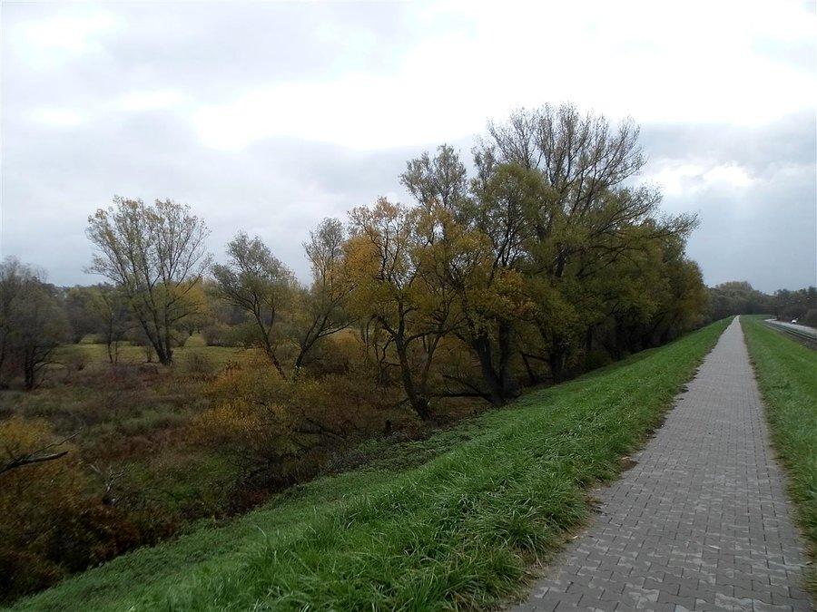 Pusto, jak okiem sięgnąć