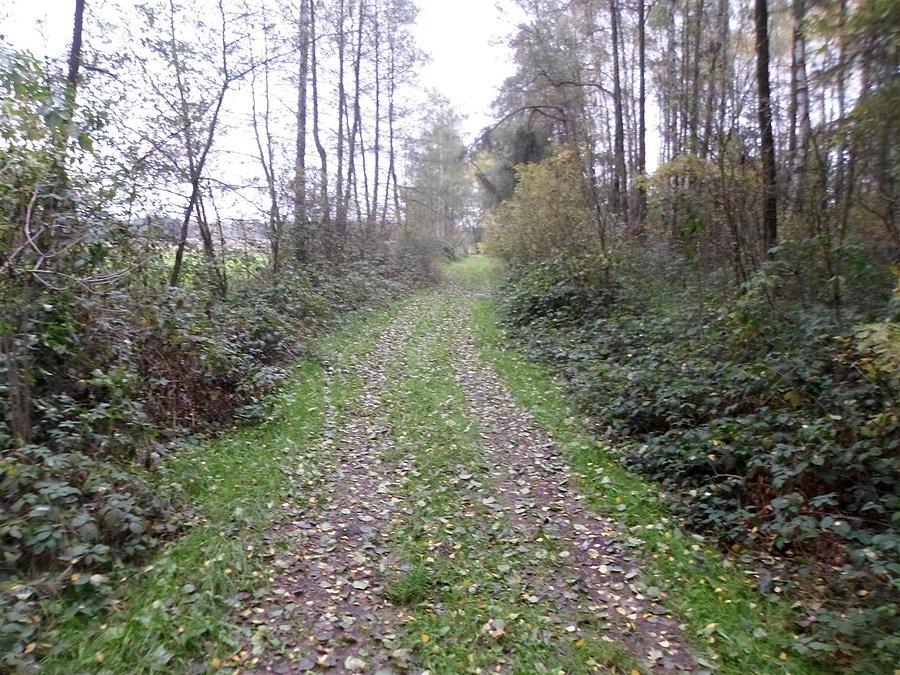 Ciężki, podmokły teren