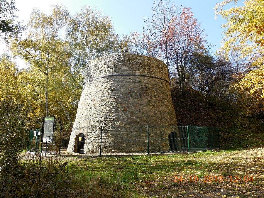 Wapiennik na obrzeżu Śląskiego Ogrodu Botanicznego w Mikołowie - Mokrem