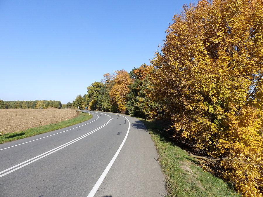 Szosa powiatowa Brzeg Dolny - Wołów