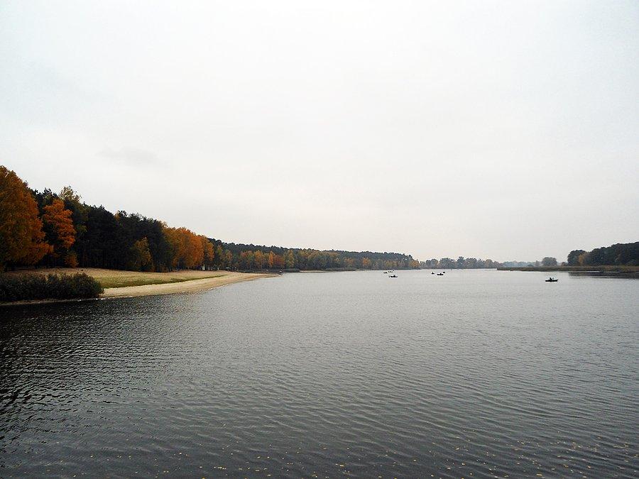 Jezioro w Gołuchowie
