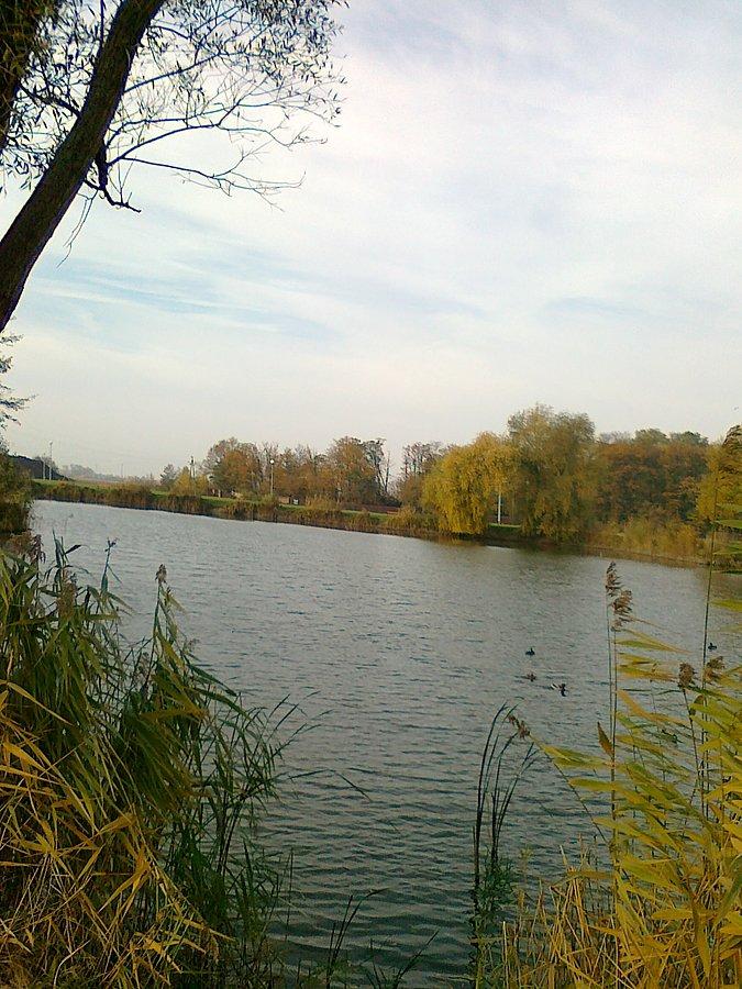 I jeszcze staw, jak zawsze