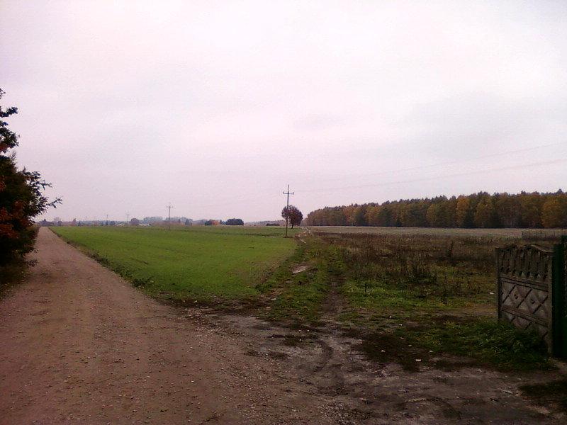 Rozwidlenie polnych dróg