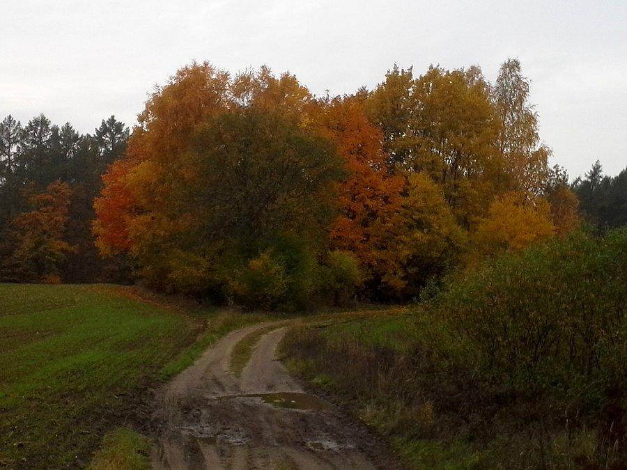 Barwy jesieni