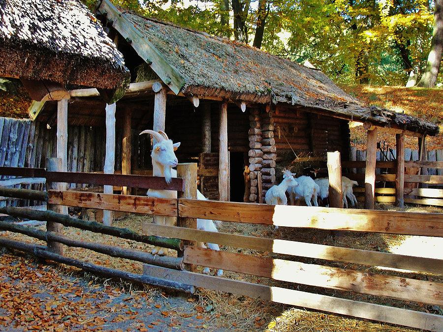Molo i Grodzisko w Sopocie - Kajko i Kokosz. Park Oliwski... Grodzisko