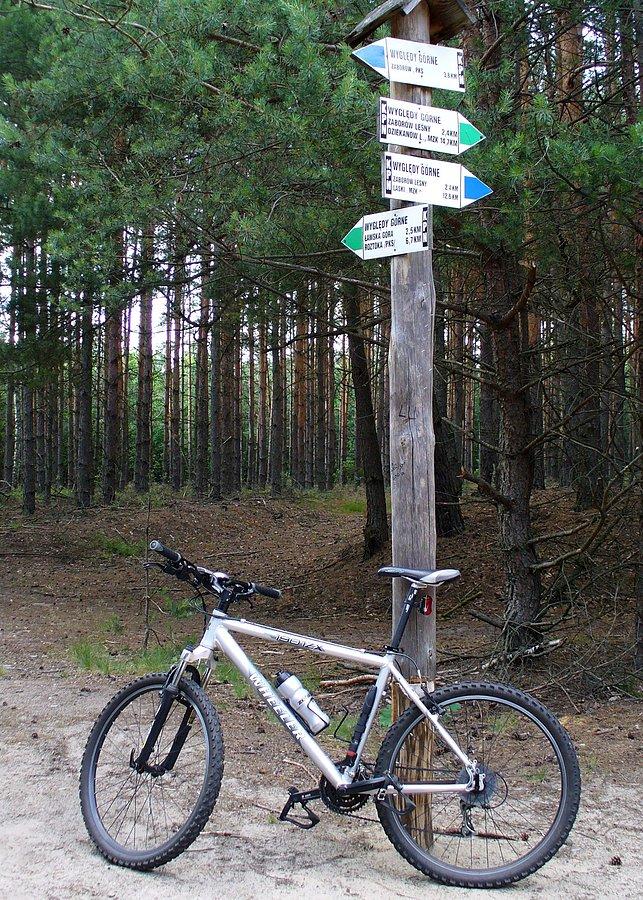 Wyględy Górne. KPN