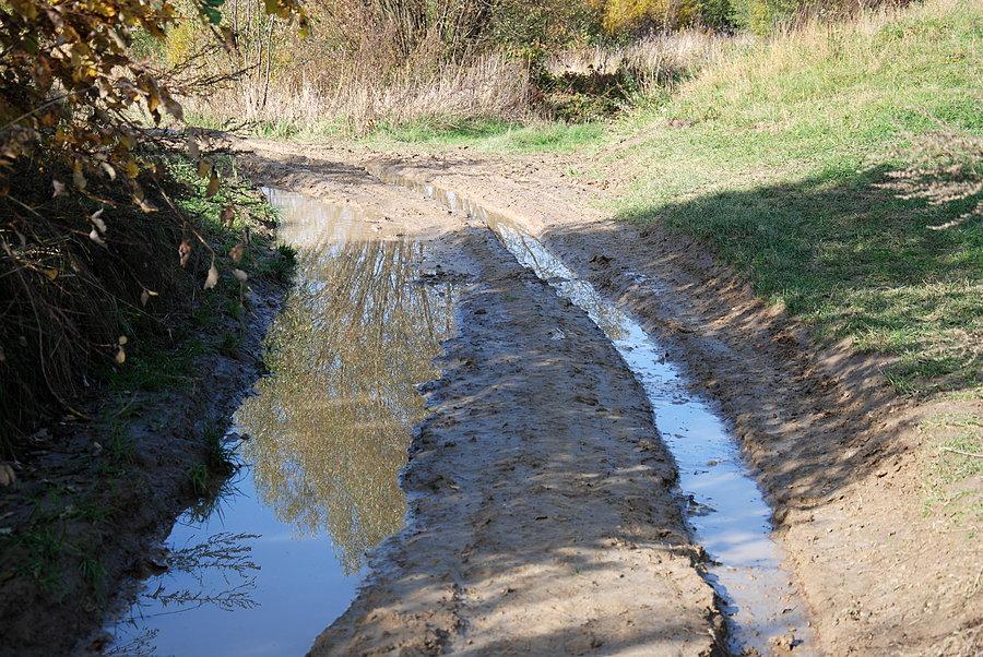 W drodze na Magdalenke