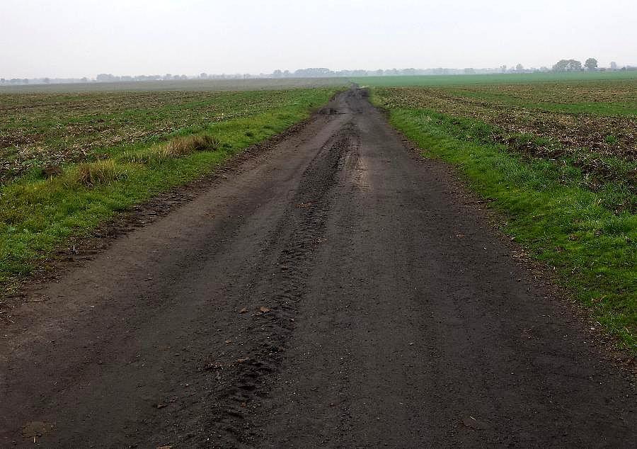 Ulubiona żużlówka z Dębicy do Wierzbna