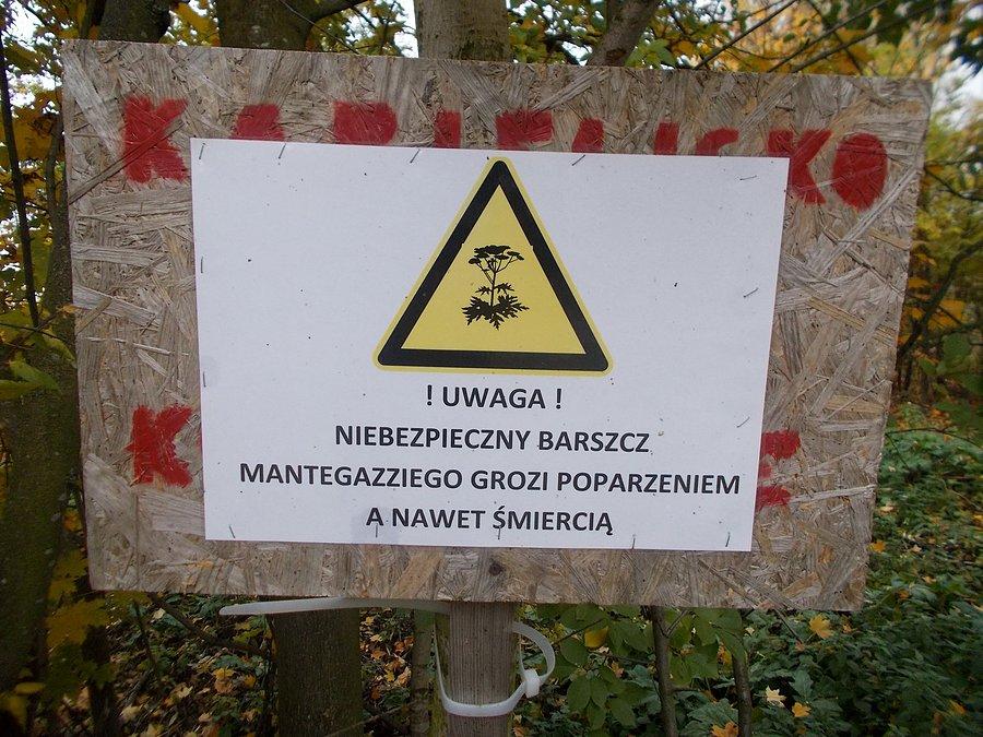 Niebezpieczeństwo