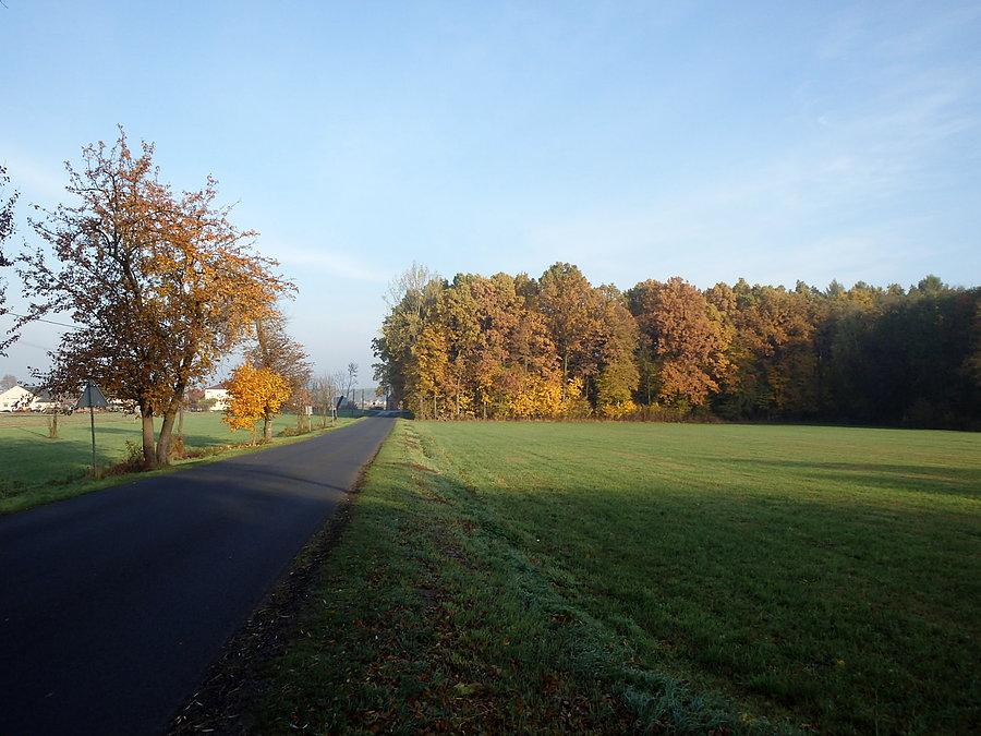 Ziemia Garwolińska jesienią