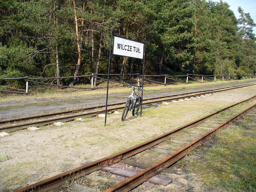 Wilcze Tułowskie - stacja kolejką wąskotorowej (linia Sochaczew - Wilcze Tułowskie)