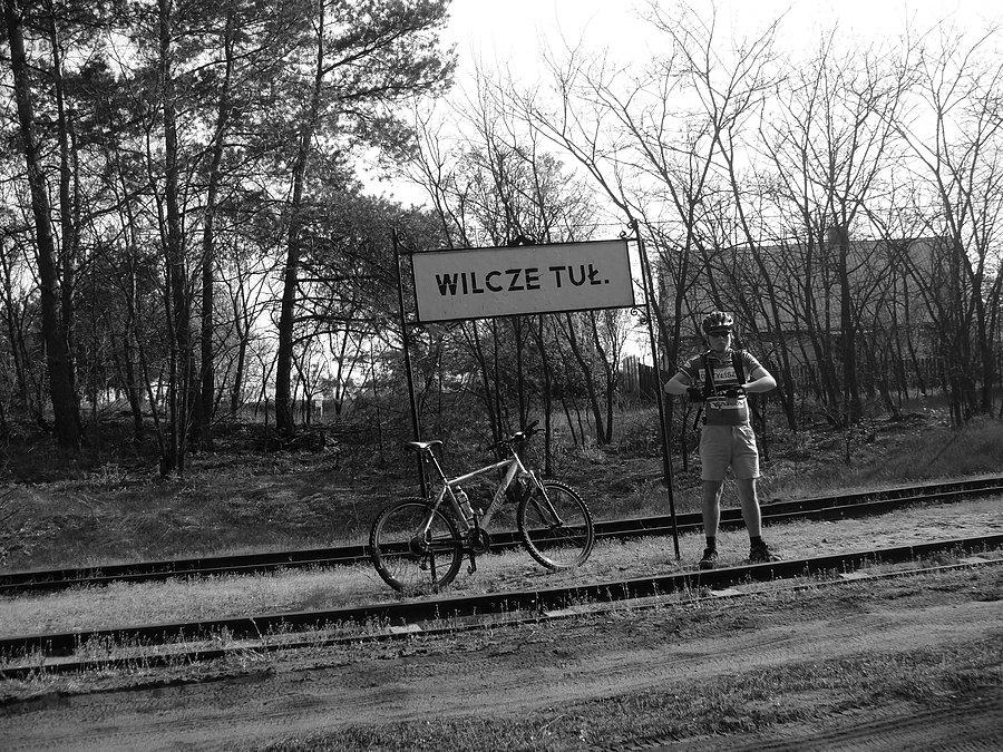 Przystanek Wilcze Tułowskie. Kampinoski PN