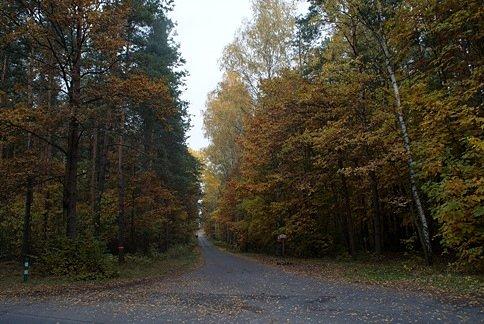 Jesienna "Gierkówka" to tu jest raj dla rowerzystów i rolkarzy :)