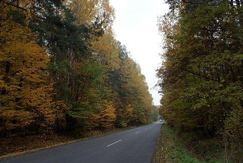 Jesienna droga do Spały