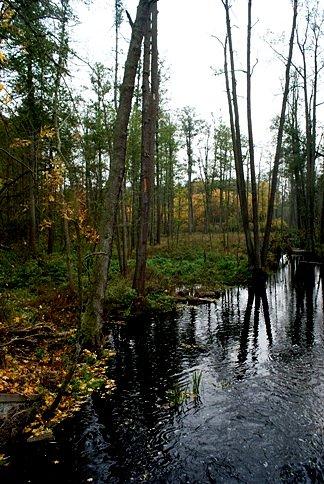Nad Gacią, jesienią