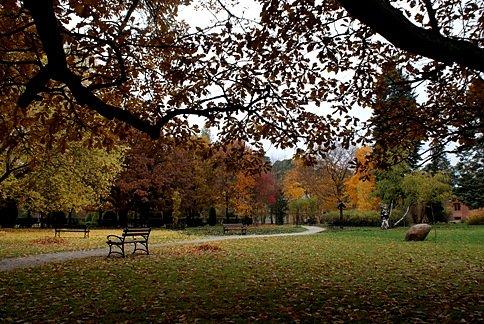 Spalski park