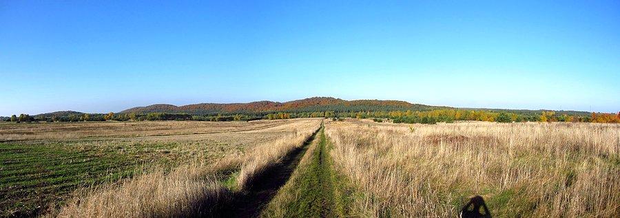 Panorama Sokolich