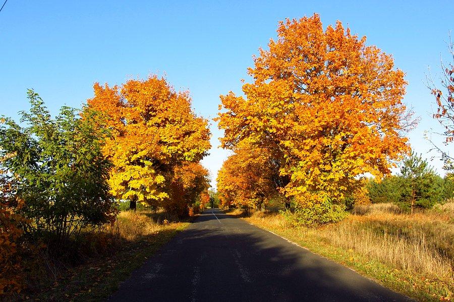 Jesień na skrajnicy