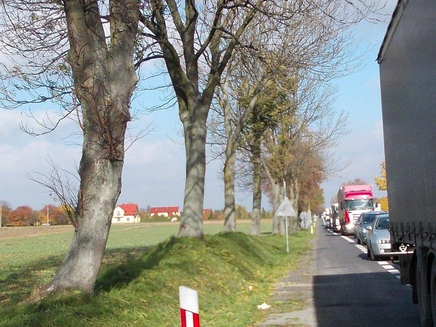 "Zatwardzenie" na "19"