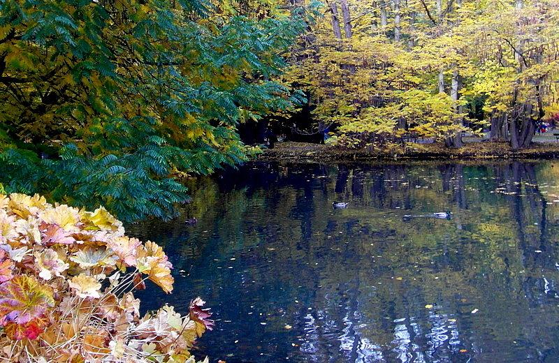 Jesienny Park Oliwski