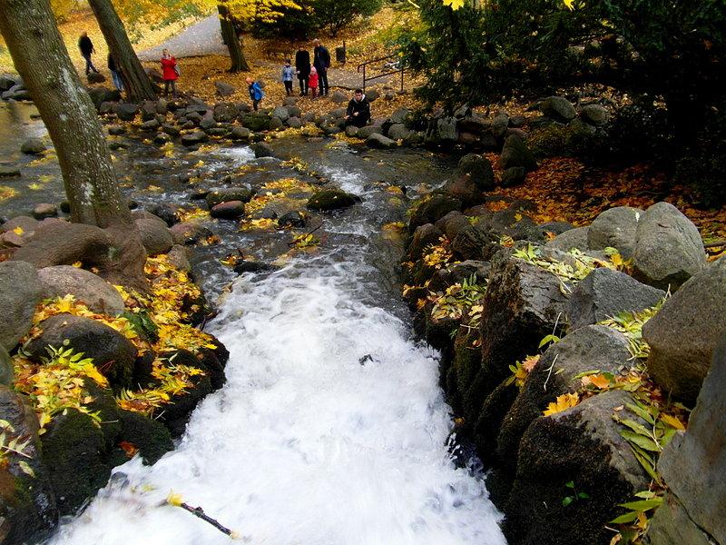 Jesienny Park Oliwski