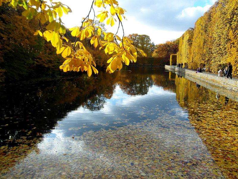 Jesienny Park Oliwski