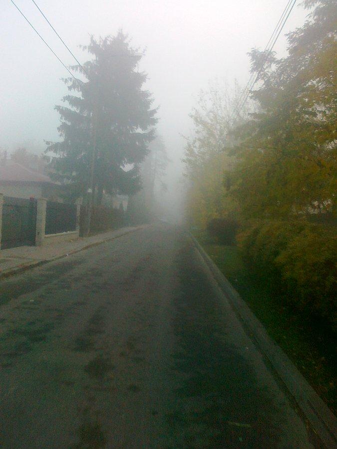 Mgła na uliczkach Boernerowa