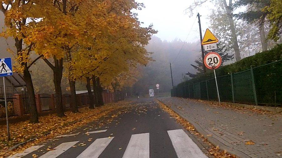 Dojeżdżając do parku Zadole