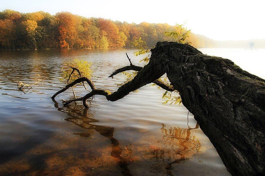 Jezioro Głębokie w Szczecinie