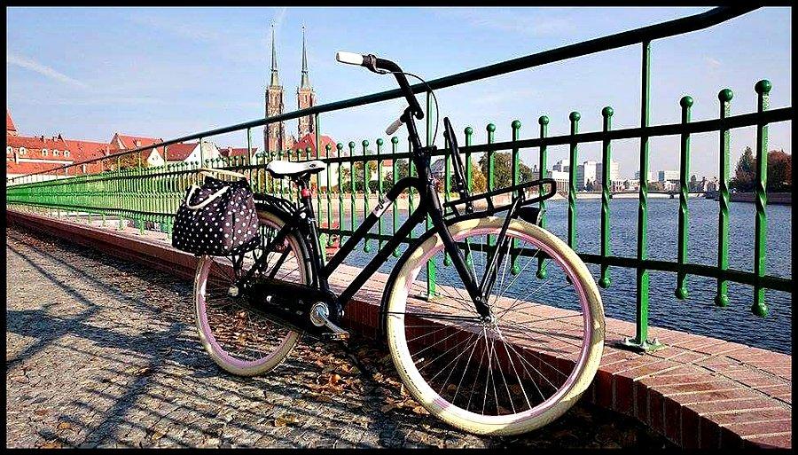 Batavus BUB XL woman black mat