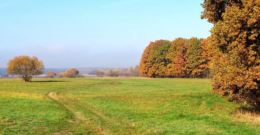 Zaborowskie Łąki, Kampinoski PN