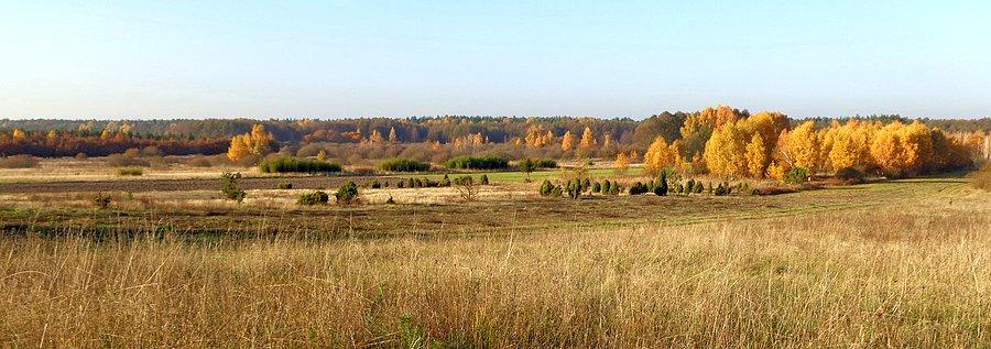Widok z Wiejcy w kierunku Błotnych Gór