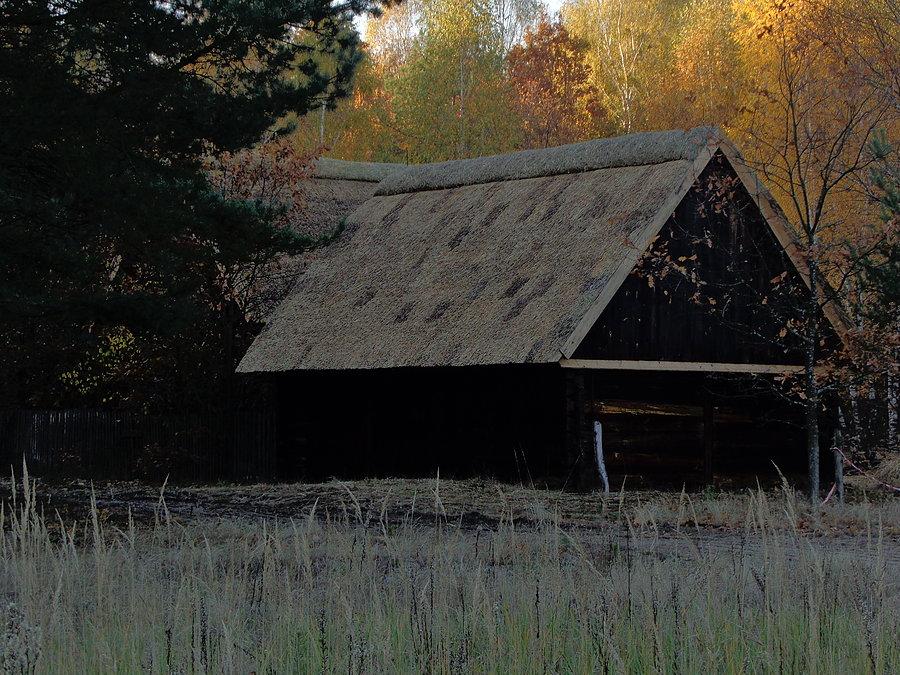 Kryte strzechą chaty - skansen osady puszczańskiej w Granicy. Zabytkowe zabudowania sprowadzone z całego wysiedlanego terenu Puszczy Kampinoskiej w ostatnich dniach przechodzą remont. Wreszcie będą tam normalne, fotogeniczne dachy, a nie jak dotychc