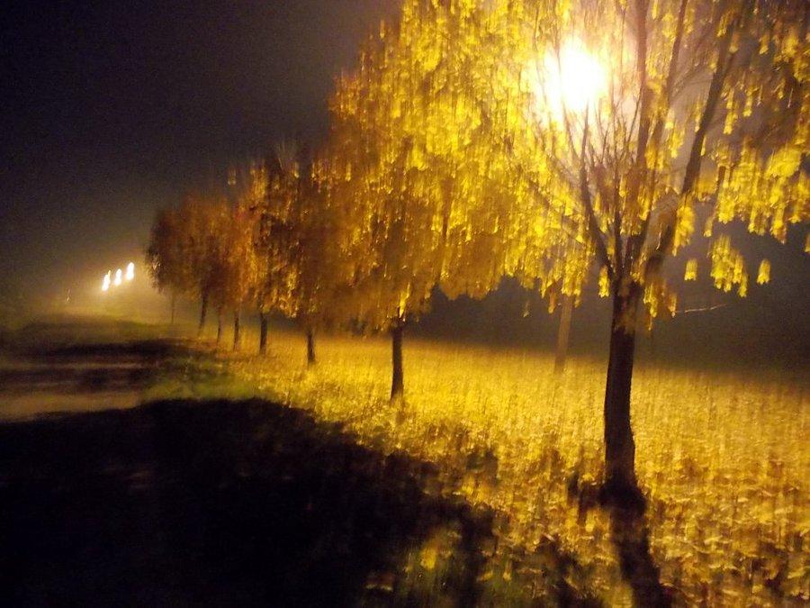 Piękne kolory jesieni