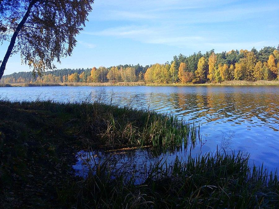 Jesień w Blachowni II