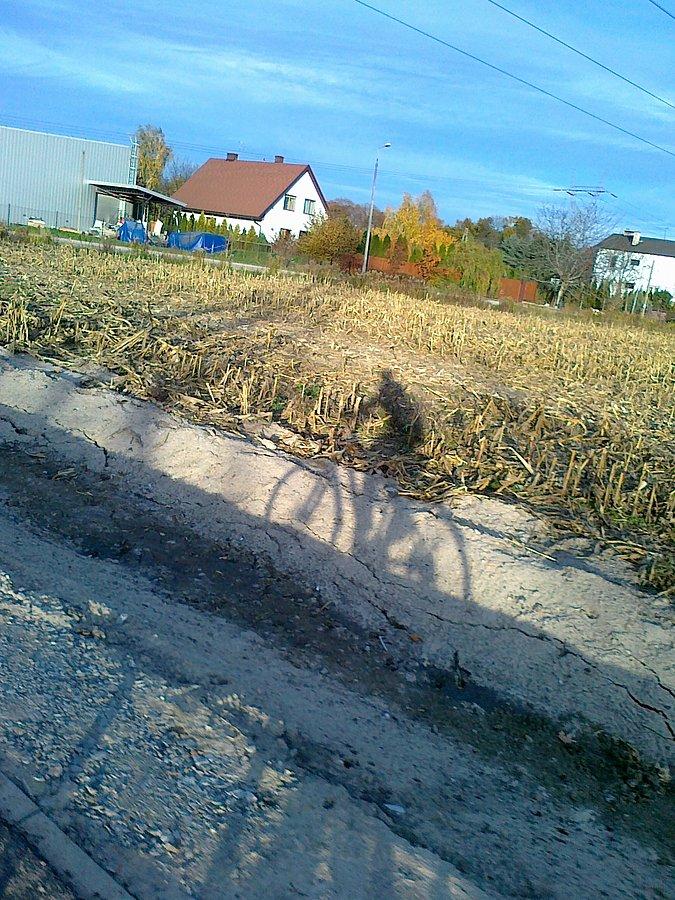 A pogoda nadal piękna