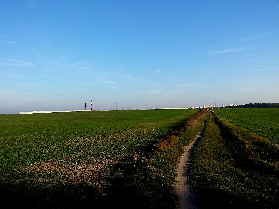 Panorama Stargardu z okolic Grzędzic