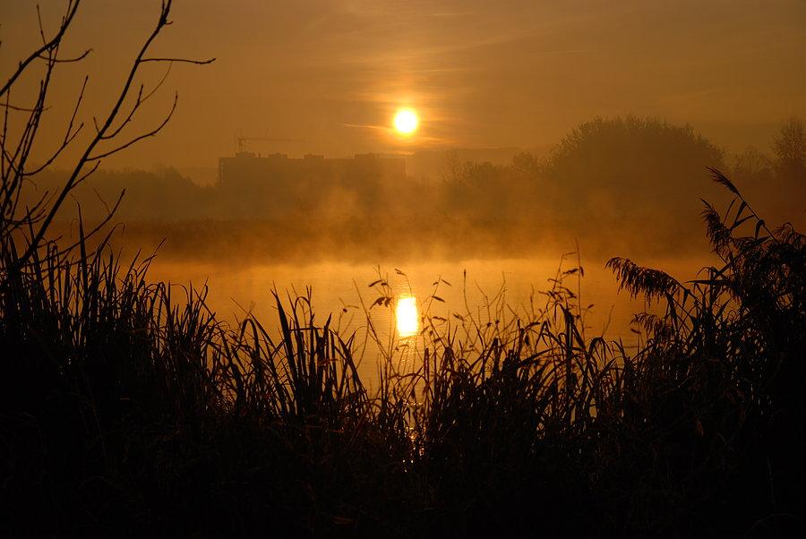 Mroźny poranek nad Zalewem