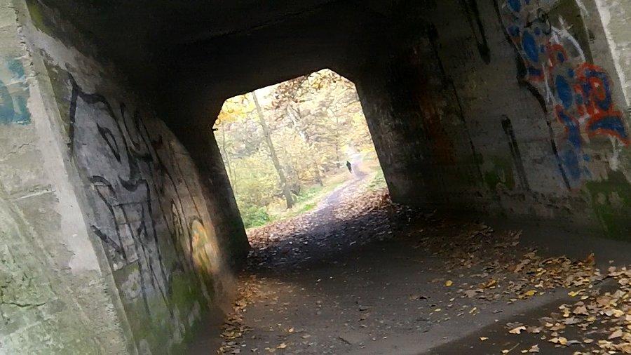 Tunel w parku w Zabrzu