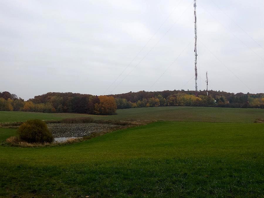 Masz w Kołowie