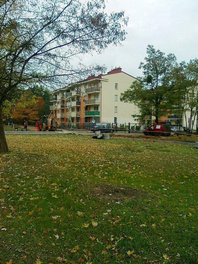 Na terenowej ddr wzdłuż Radiowej trwaja prace. Może będzie asfaltowa?