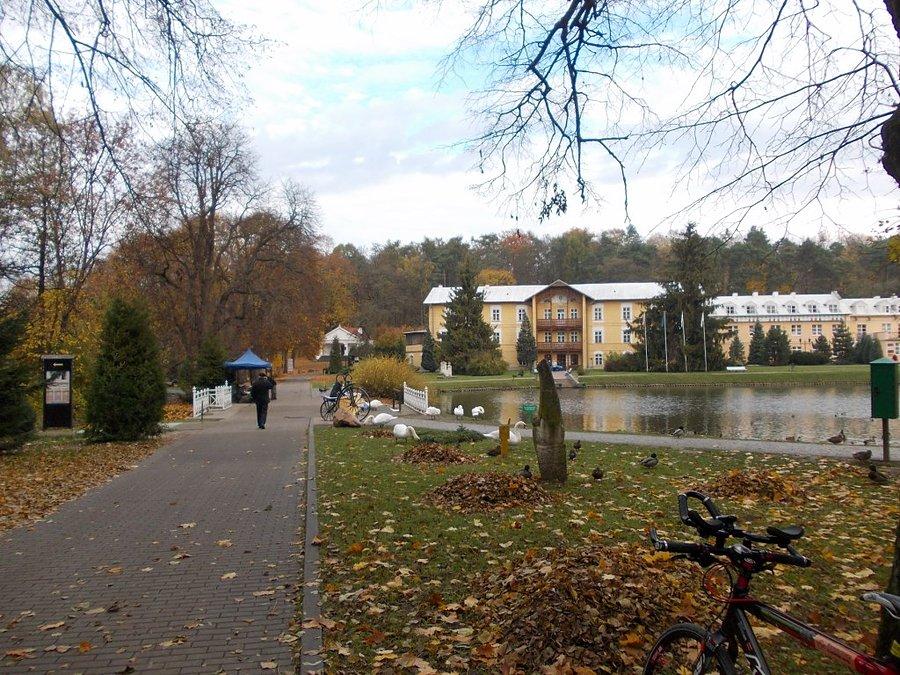 Park Zdrojowy