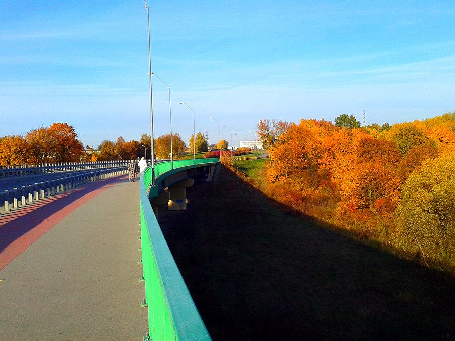 Jesienny Elbląg
